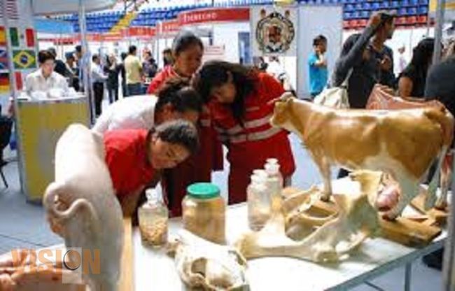Nutrida afluencia se espera en la Expo Orienta 2015