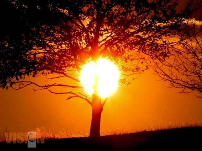 En temporada de calor, evite la exposición a los rayos del sol, exhorta la SSM