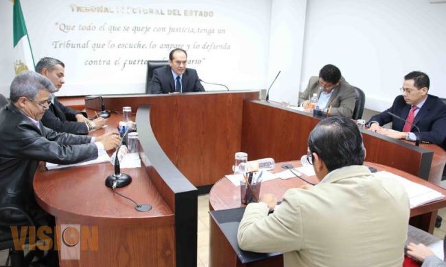 Ordena TEEM sanción a Nacho Alvarado y al PAN por actos anticipados de campaña