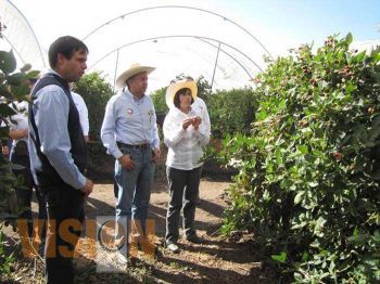 Los Reyes, 1er. lugar en valor de la producción en Zarzamora