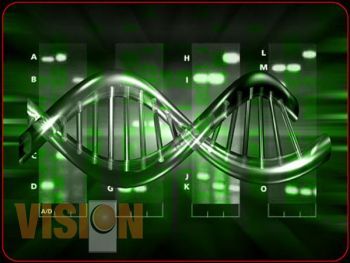 Exitosa participación de estudiantes en la Olimpiada de Biología