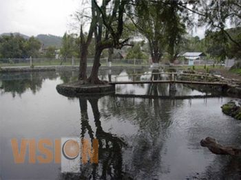 Planta Tratadora de Aguas Residuales para Nuevo Parangaricutiro