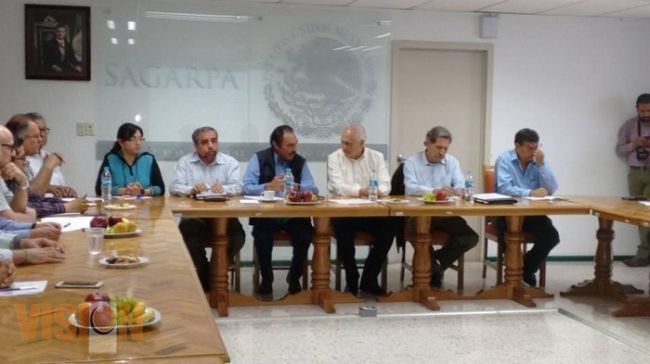 Asegura Michoacán exportación de aguacate de calidad 
