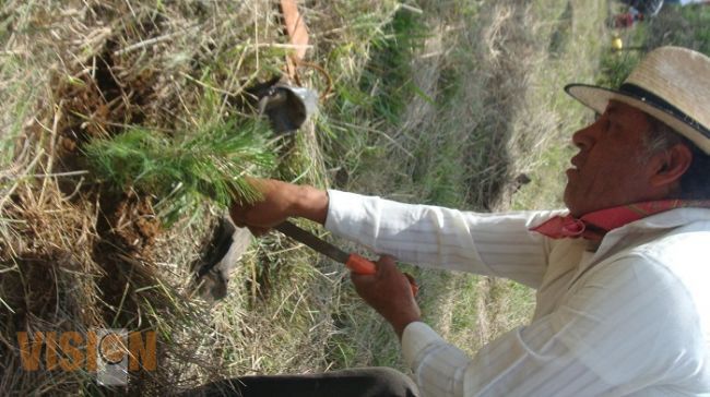 Conmemoran el Día Mundial contra la Desertificación y la Sequía