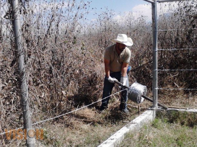 Entrega Sedru apoyos a productores ganaderos 