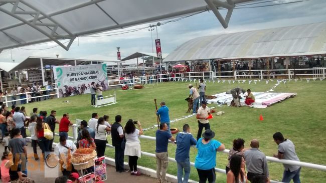 En la Expo Feria Michoacán, festejan a los Padres de Familia 