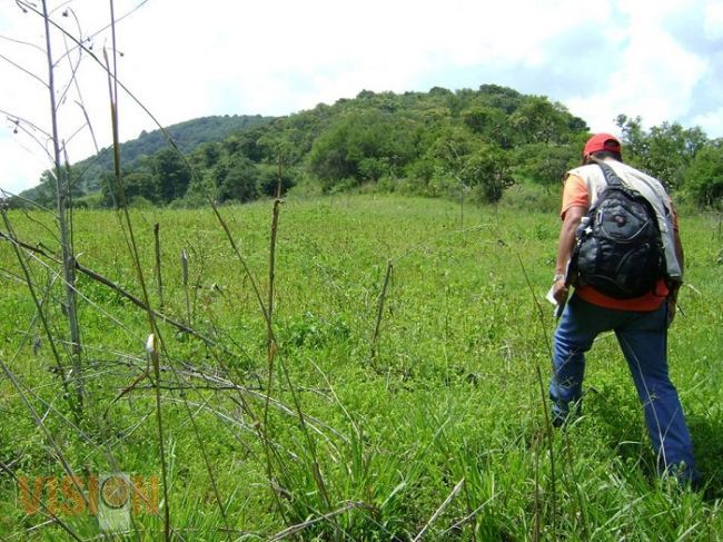 La Procuraduría de Protección al Ambiente realiza vigilancia al 