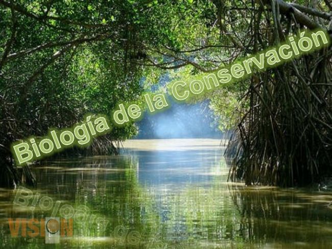 Anuncia Facultad de Filosofía conferencias sobre Biología de la Conservación