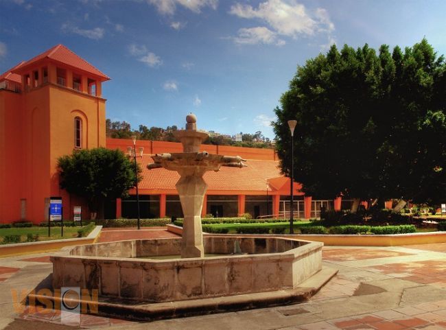 Podarán 10 árboles enfermos del área jardinada en el Centro de Convenciones 
