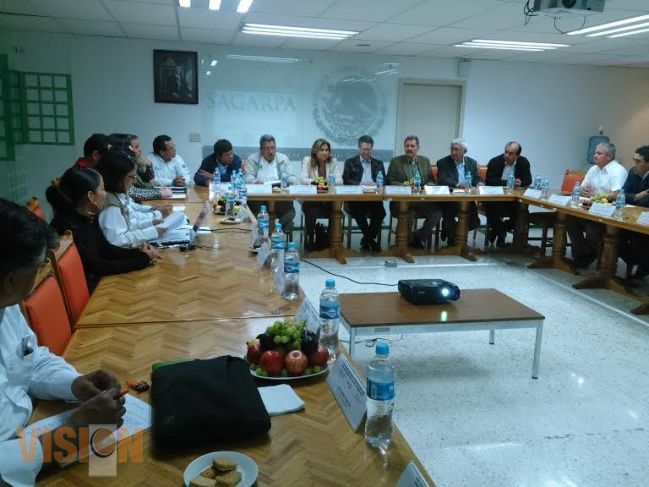 Extensionismo holístico, herramienta para el crecimiento en el campo 
