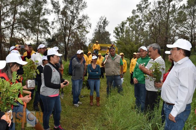 El PRI comprometido con el medio ambiente 