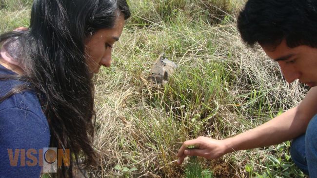Reconocerán acciones destacadas a favor del sector forestal