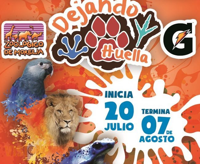 Jueves 16 de julio, último día de inscripción para curso de verano 