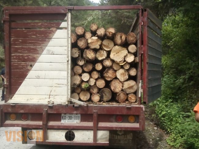 Elementos del Mando Unificado Tuxpan, detienen a sujeto por transportación de madera ilegal