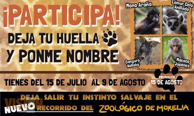 Invita el zoológico de Morelia, a dejar huella, estas vacaciones de verano