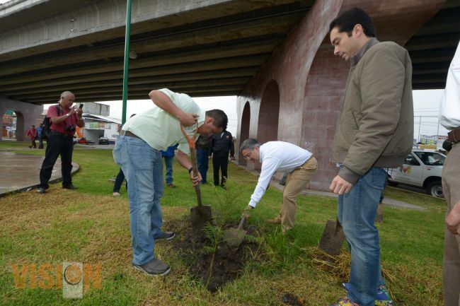 Alcaldía repone árboles  en el libramiento norte