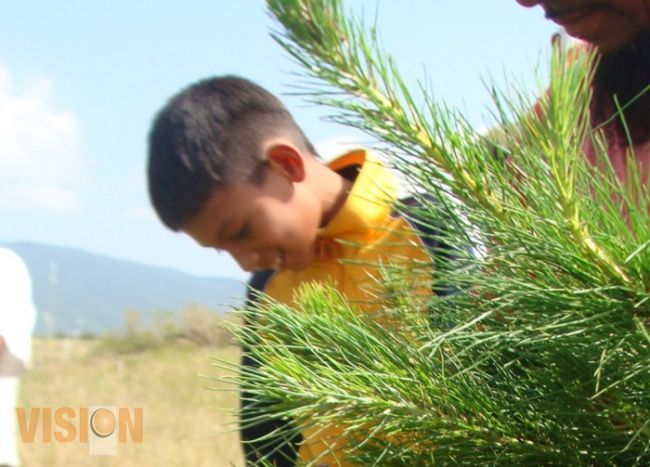 En marcha Campaña Estatal de Reforestación 2015 