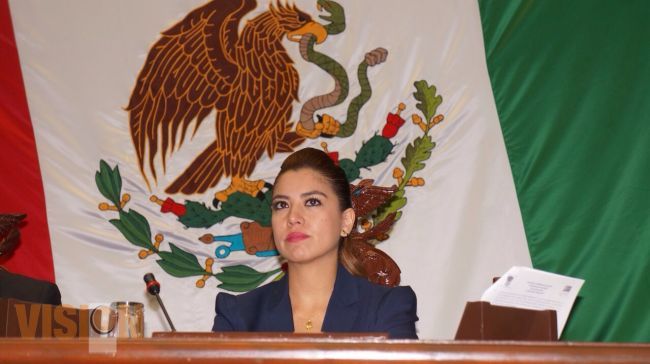 Urge Yanitzi Palomo a autoridades estatal y federales frenar epidemia de chikungunya