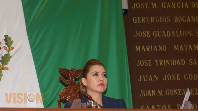 Urge Yanitzi Palomo a autoridades estatal y federales frenar epidemia de chikungunya