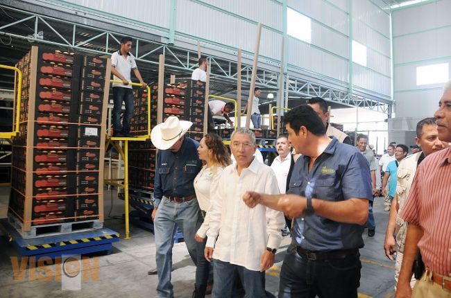 Inversiones productivas, fundamentales para que Michoacán supere problemas económicos y seguridad