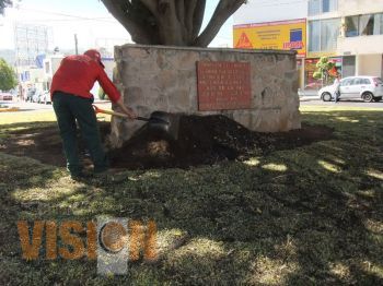 Continúa parques y jardines labores de embellecimiento de la ciudad