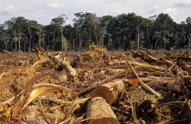  Modificar la forma de vida de los seres humanos, para revertir cambio climático