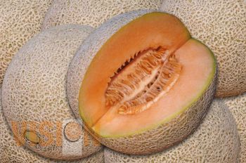 Huetamo, principal productor de Melón en Michoacán