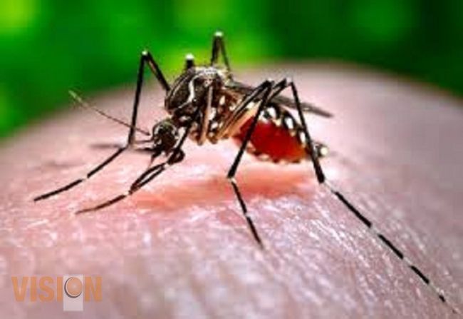 Se registran 969 casos del virus chikungunya en Michoacán