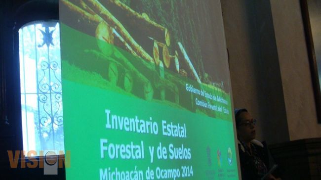 Michoacán es el estado con mayor producción de resina, genera 16 ton por año 