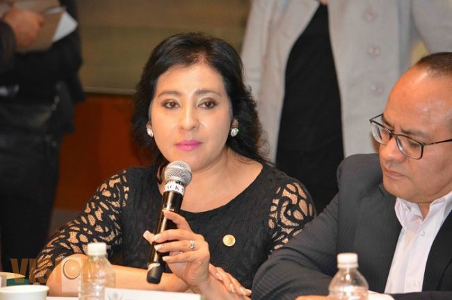 Nueva Alianza fiel defensor de la niñez: Angélica Reyes