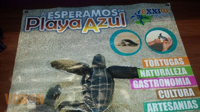 Pretenden desovar a 10 mil crías de tortuga marina en Playa Azul 