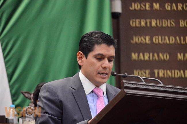 Propone Ernesto Núñez, medidas para respetar el acceso de perros guía a espacios públicos y privado