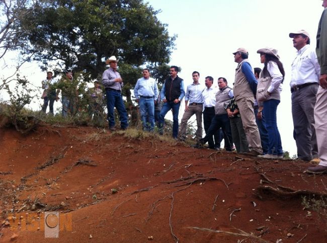 Preocupa el estatus de la sierra sur de Morelia a autoridades ambientales estatales