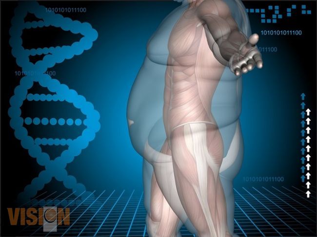 Será UMSNH sede de simposio internacional sobre origen fetal de la obesidad