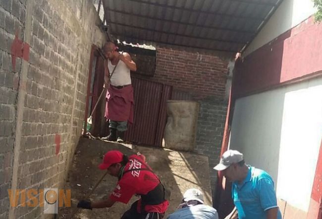 Con buenos resultados jornadas dominicales de recolección en Uruapan