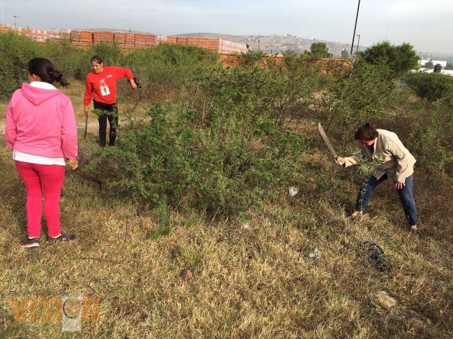 Realizan limpieza en la colonia Lombardo Toledano