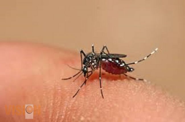 A la semana epidemiológica 48, van mil 602 casos de fiebre por chikungunya y mil 496 de dengue