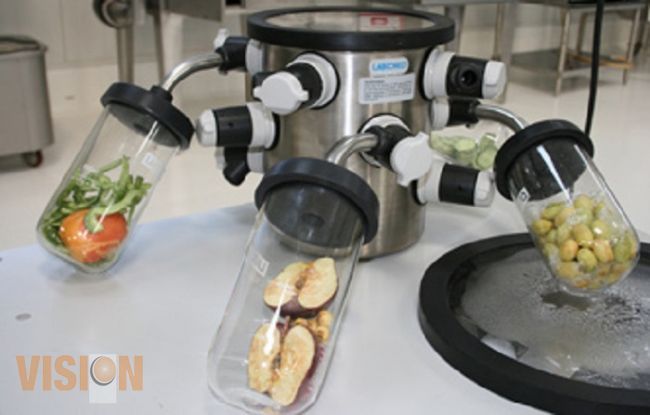 Abre UMSNH diplomado sobre Tecnología Alimentaria