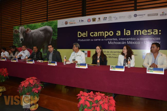 Investigación aplicada ha logrado un cambio en la visión de productores pecuarios