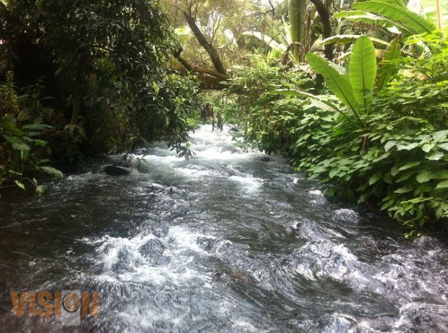 Con creación de Semarnacc, Michoacán fortalecerá compromisos con el medio ambiente 