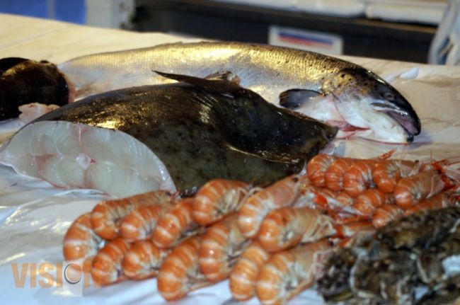 Riqueza acuícola combatirá la pobreza alimentaria en el estado  