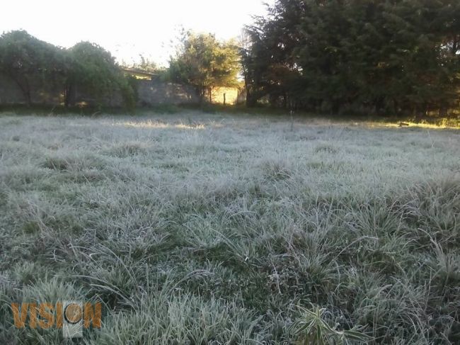 Bajas temperaturas afectan cultivos de Michoacán