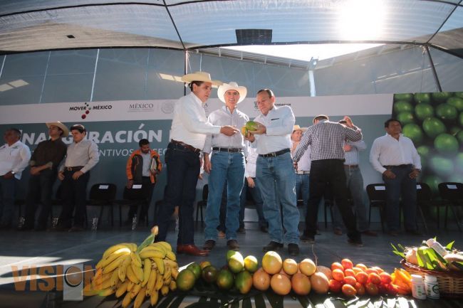 Mayor impulso agricola en la region de Tierra Caliente : SAC