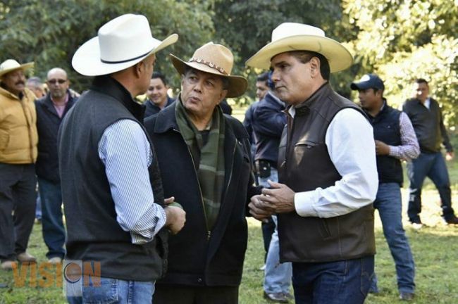 EU consume 100 mil toneladas de aguacate durante Súper Bowl: Pepe Calzada
