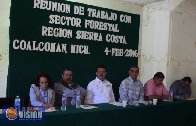 La producción forestal es una alternativa para combatir la pobreza de las comunidades