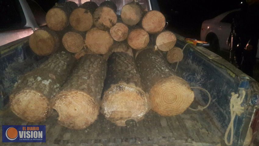 Capturan a talamontes de Tingambato y Charo