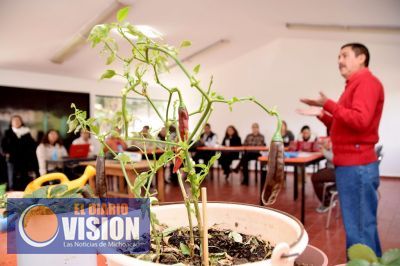 DIF Michoacán realiza Taller de Huertos Escolares y de Traspatio