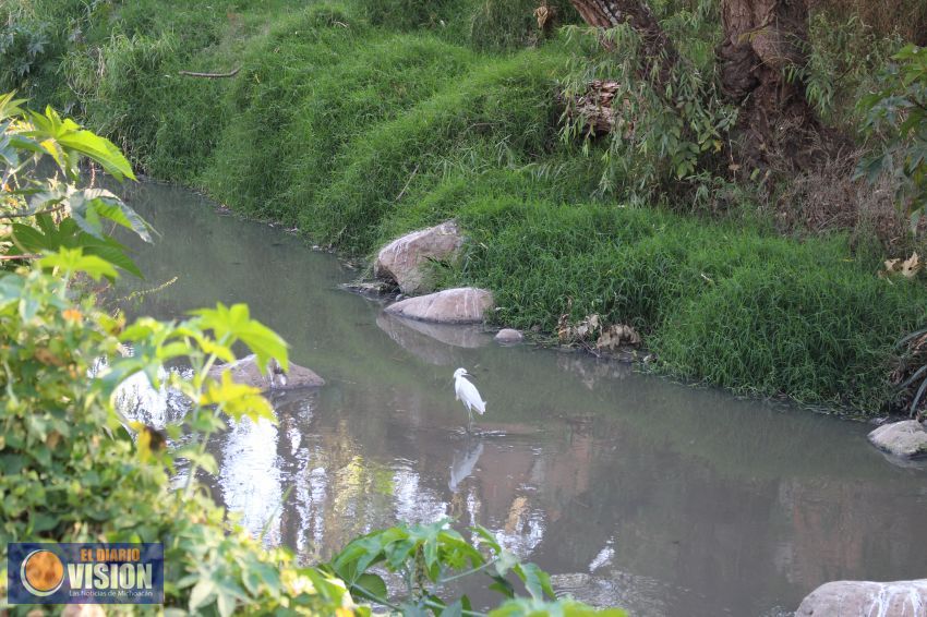 Sanearán el Río de Santa María