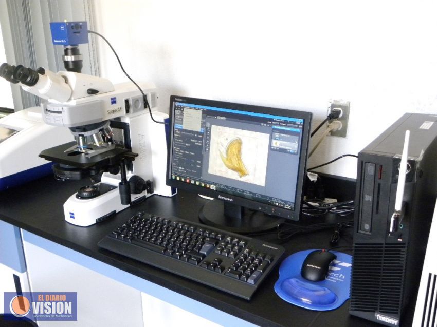 COFOM, certificará el Laboratorio de Diagnóstico de Plagas y Enfermedades