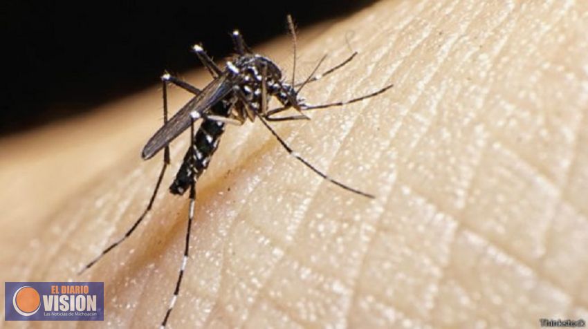 Registra Apatzingán único caso de zika